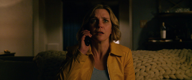 Rhea Seehorn Reunites with Vince Gilligan